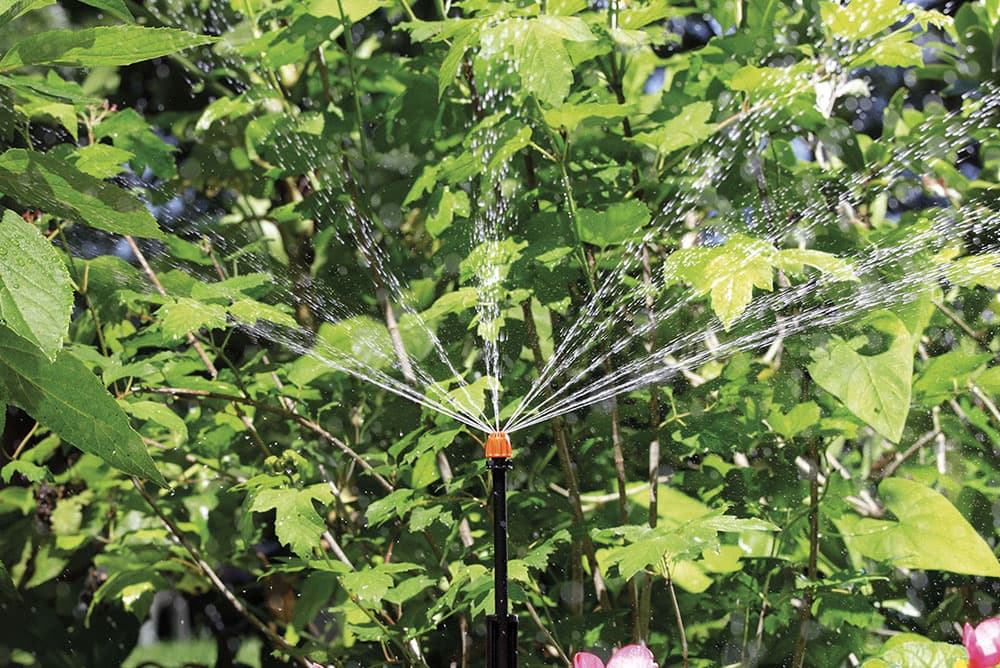 Claber 360° Micro-Sprinkler in use