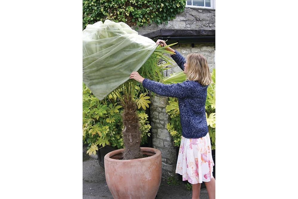 Large Easy Fleece Jacket being put over small tree