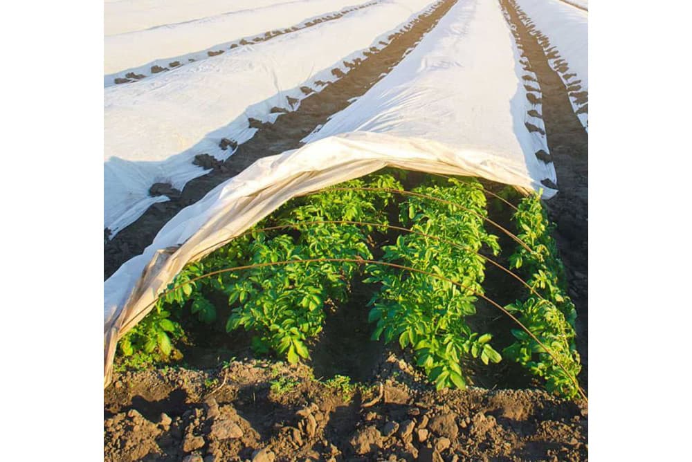 Frost Fleece in use