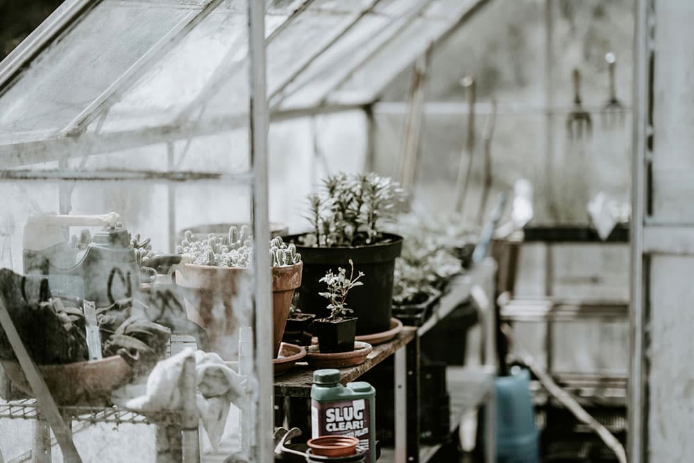 Greenhouse in winter