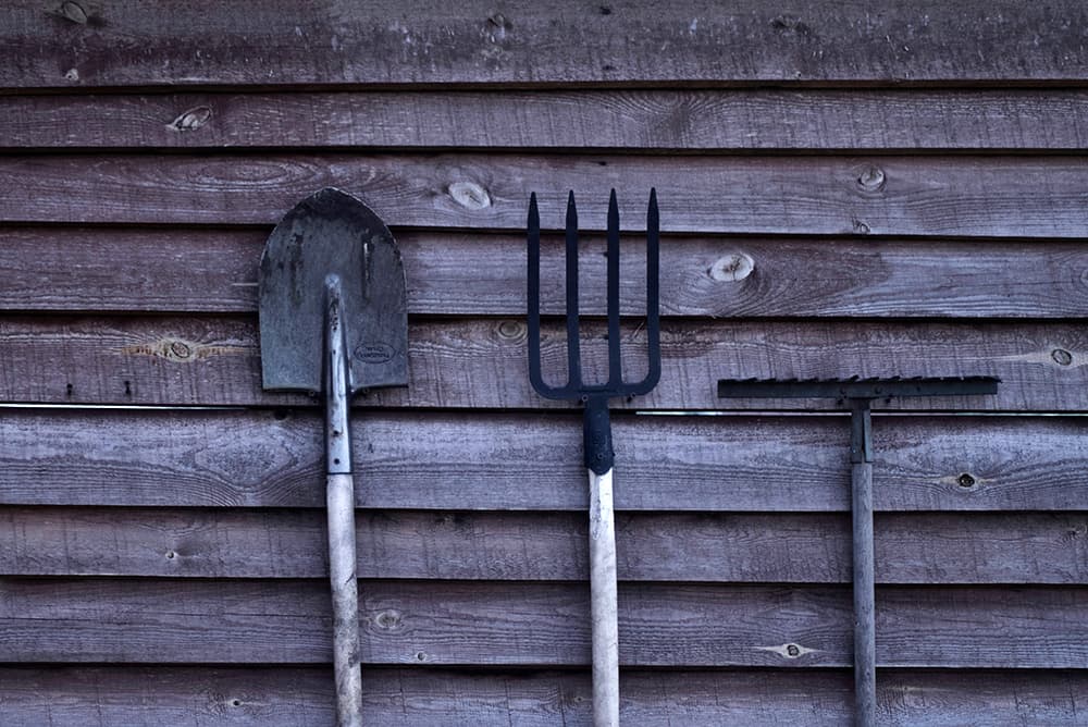 Tools in front of shed