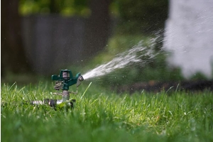 Irrigation System - Sprayer