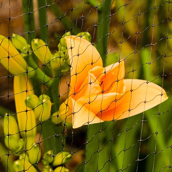 Anti Bird & Pond Netting