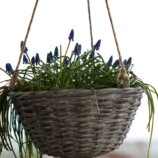 Planters & Baskets