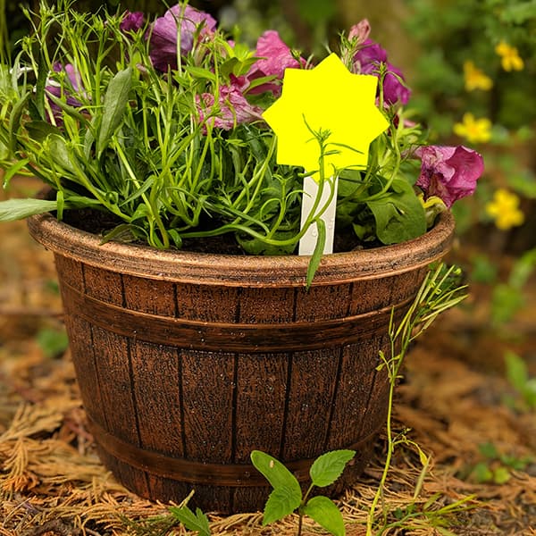 Plastic Planters