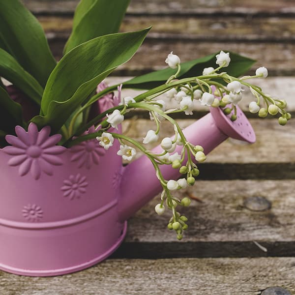 Tin Planters