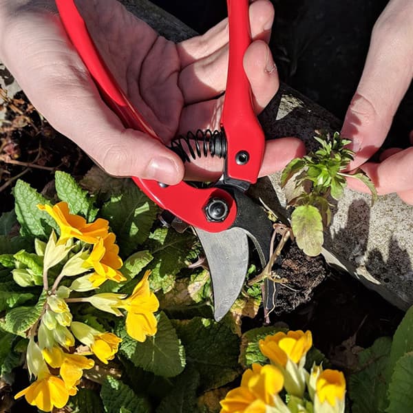 Gardening Tools