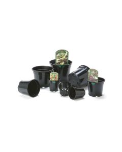 Aeroplas Container Pots without Label Slots - 10L