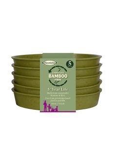 Bamboo Propagation Saucers - Sage Green - 3"