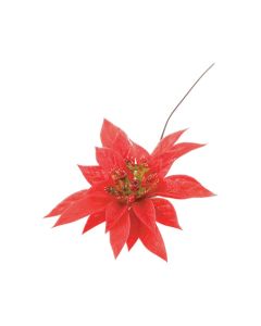 Red Poinsettia