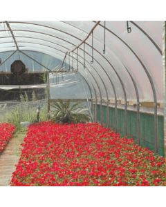 Lumisol CLEAR Polytunnel Cover - Per Mtr