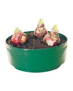 Bulb Bowls - Green - 2.2L