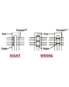 Staples for Paraweb