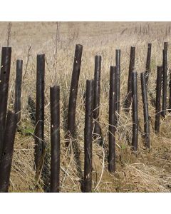 Spiral Tree Guards - Brown