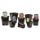 Aeroplas Square/Round Slotted Pots - 1L