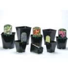 Aeroplas Square/Round Slotted Pots  - 1.4L