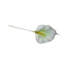 Calla Lily White Picks