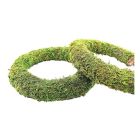 Padded Moss Effect Wreath Rings - 8"