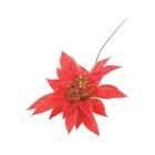 Red Poinsettia