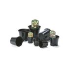 Aeroplas Container Pots with Label Slots - 1L