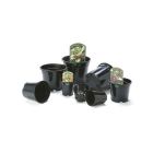 Aeroplas Container Pots without Label Slots - 15L