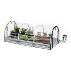 BioGreen Jumbo Propagator