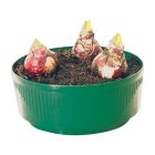 Bulb Bowls - Green - 2.2L