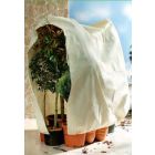 Frost Protection Plant Jacket - JUMBO