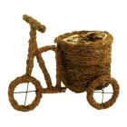 Salim Tricycle Planters