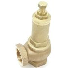 Pressure Relief Valve - 1" x 1"