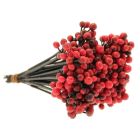 Red Holly Berry Picks