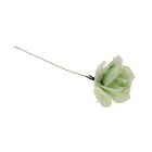 Rose Picks - White