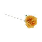 Rose Picks - Yellow