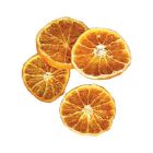 Dried Orange Slices