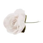 Velvet Rose Picks - White