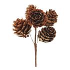 Pine Cone Cluster Picks