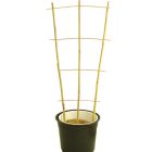 Bamboo Fan Trellis - 86cm