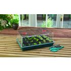 Propagator High Top Lid & Tray