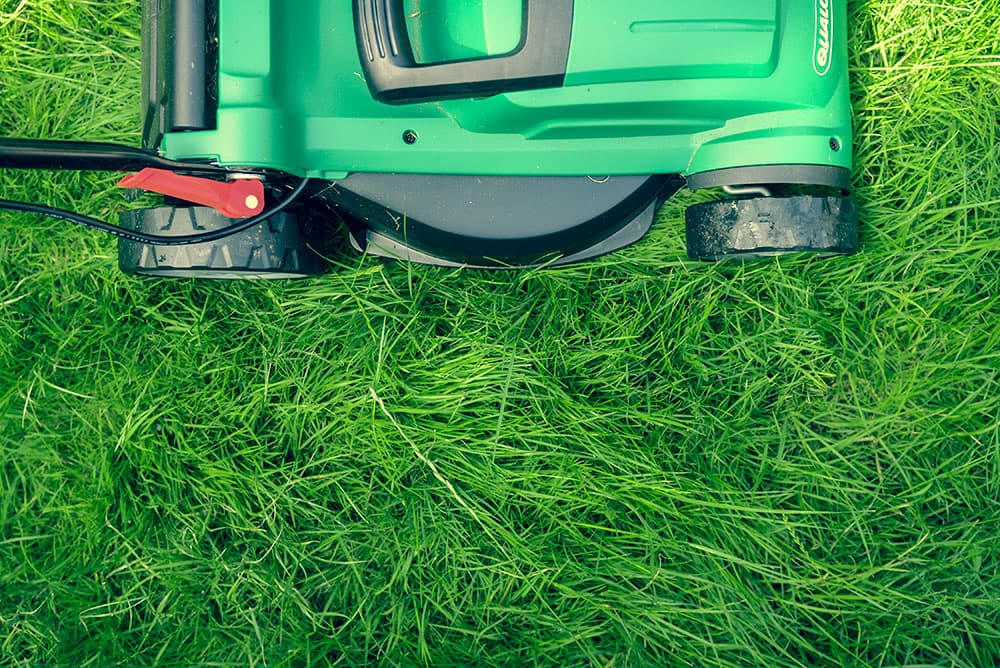 Lawn mower on grass