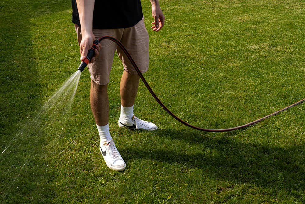 Watering the Lawn